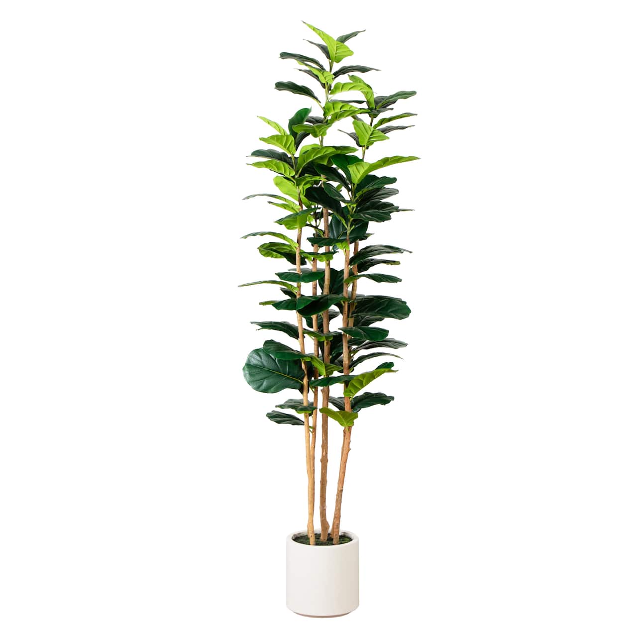 7ft. Fiddle Leaf Tree in Decorative White Planter
